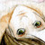 :iconsan4a: