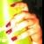 :iconsan6ara: