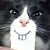 :iconsanadasamuels:
