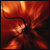 :iconsanby: