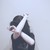 :iconsanctus-shell: