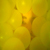 :iconsanctusmortis: