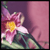 :iconSandandsmoke: