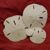 SandDollar71 :iconsanddollar71: