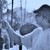 :iconsandeepbarot: