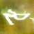 :iconsanderzf: