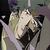 :iconsandheart: