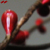 :iconsandi-sea: