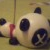 :iconsandilynha: