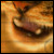 :iconsandpaw: