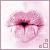 :iconsandra-photography: