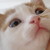 :iconsandradojchinovska: