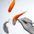 SandraStar66 :iconsandrastar66: