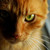 :iconsandstorm0422: