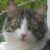 :iconsandstorm778: