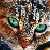 :iconsandtail25: