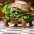 :iconsandwichturtle: