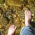 :iconsandy-sand: