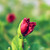 :iconsandyfotografia: