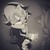 SandyTheHedgie :iconsandythehedgie: