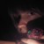 :iconsanetratheelements: