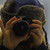 :iconsanguin-lupus: