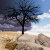 :iconsanguine-raptor:
