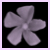 :iconSanguine-Star: