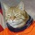 :iconsanguiniphrenic7: