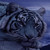 :iconsani-bright: