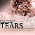 :iconsanpin-cha: