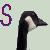 :iconsanrania: