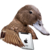 :iconsansony: