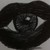:iconsantanasoares: