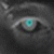 :iconsanticat: