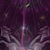 :iconSao-irse: