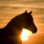 :iconsaoirse2: