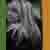 :iconsaoirsedeirdre: