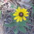 :iconsap48624: