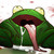 :iconsapao318bigfrog318:
