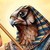 :iconsapereaudere: