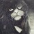 :iconsaphier-night-wolf: