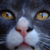 :iconsaphirah-ravenclaw: