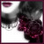 :iconsaphiramccoy: