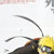 Saphire-hope1558 :iconsaphire-hope1558: