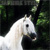 :iconsaphirestyle: