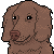 :iconsaplin: