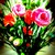 :iconsapphire-lite: