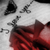 :iconsapphire-rose15:
