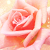 :iconsapphire-sparkle: